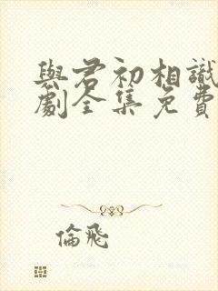 与君初相识电视剧全集免费观看