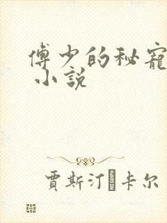 傅少的秘宠娇妻 小说