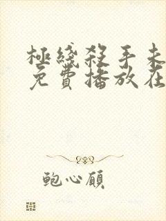 极线杀手未删版免费播放在线观看封面