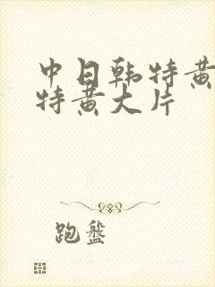 中日韩特黄特色特黄大片封面