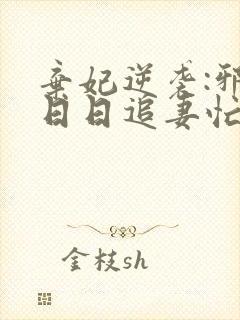 弃妃逆袭:邪王日日追妻忙小说阅读