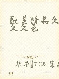 欧美精品久久久久久色