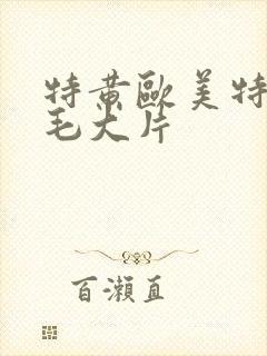特黄欧美特黄黄毛大片