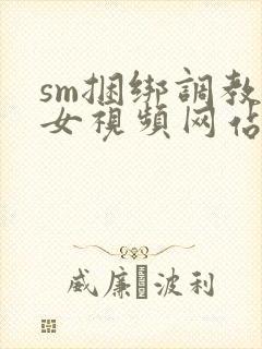 sm捆绑调教美女视频网站封面