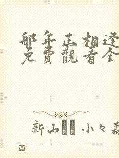 那年正相逢短剧免费观看全集封面