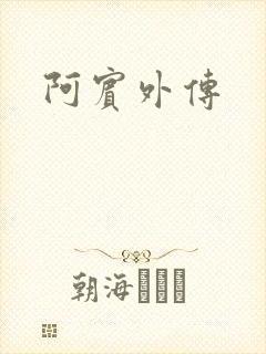 阿宾外传