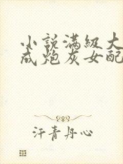 小说满级大佬穿成炮灰女配下载