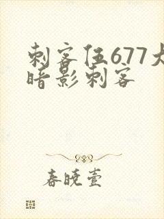 刺客伍677大暗影刺客