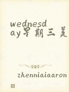 wednesday星期三美剧封面