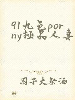91九色porny极品人妻