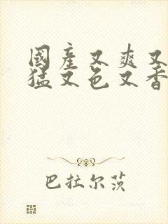 国产又爽又粗又猛又色又香无遮挡视