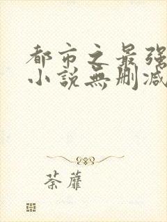 都市之最强狂兵小说无删减版