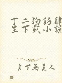 丁二狗的肆意人生下载小说全文封面