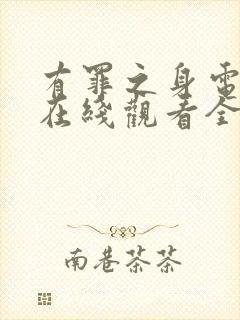 有罪之身电视剧在线观看全集免费