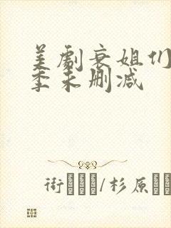 美剧衰姐们第一季未删减封面