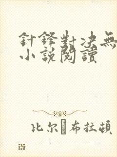 针锋对决无删减小说阅读