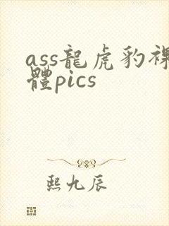 ass龙虎豹裸体pics封面