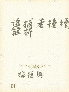 追捕者后续剧情解析