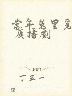 当年万里觅封侯 广播剧