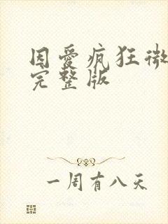 因爱疯狂微电影完整版封面