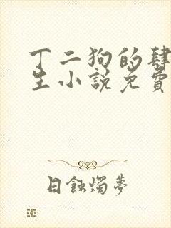 丁二狗的肆意人生小说免费封面