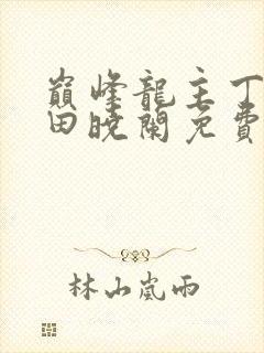 巅峰龙主丁长顺田晓兰免费阅读