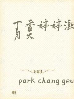 丁香婷婷激情五月天