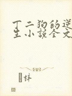 丁二狗的逆袭人生小说全文阅读封面
