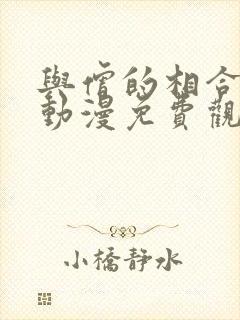 与僧的相合之夜动漫免费观看完整版