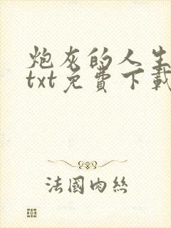 炮灰的人生快穿txt免费下载