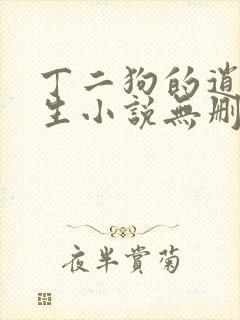 丁二狗的逍遥人生小说无删减