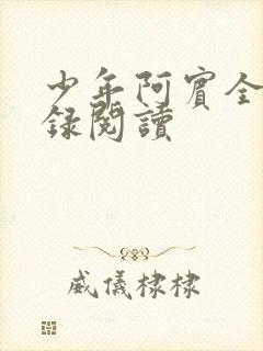 少年阿宾全文目录阅读封面