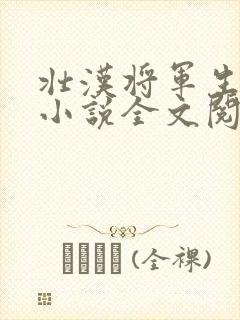 壮汉将军生娃记小说全文阅读封面