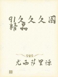 91久久久国产精品封面