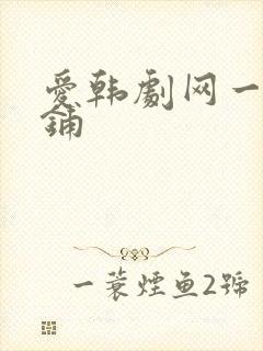 爱韩剧网一韩剧铺