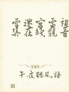 雪迷宫电视剧全集在线观看免费