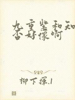 九重紫和知否知否好像啊