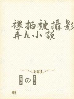 裸拍被摄影师玩弄h小说封面