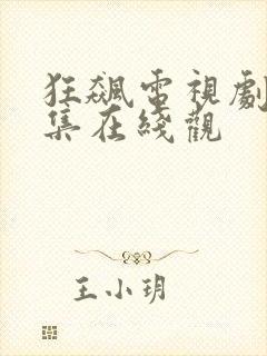 狂飙电视剧40集在线观