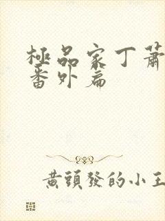 极品家丁萧夫人番外篇