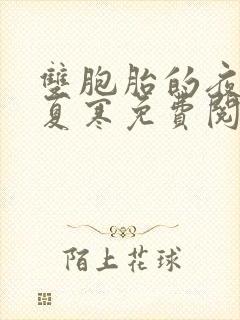 双胞胎的夜by夏寒免费阅读小说封面