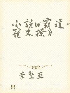 小说w霸道爹地宠又撩》