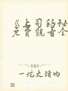 《上司的秘密》免费观看全集电影中