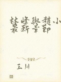 林峰与赵小二的最新章节