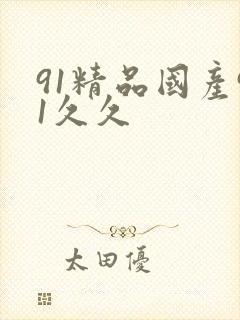 91精品国产91久久