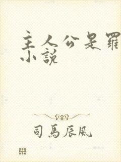 主人公是罗铮的小说