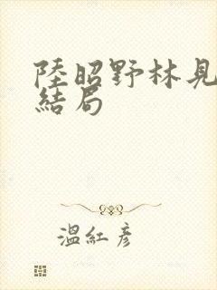 陆昭野林见疏大结局