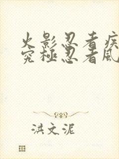 火影忍者疾风传究极忍者风暴2