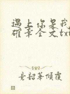 遇上你是我的小确幸全文txt下载封面