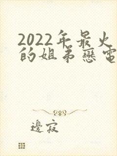 2022年最火的姐弟恋电视剧
